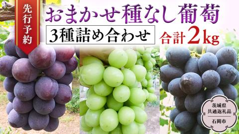 【 2025年9月中旬発送開始 】 おまかせ 種なし葡萄 3種 詰め合わせ 約2kg (茨城県共通返礼品 石岡市） 開田ぶどう園 産地直送 フルーツ 甘い 直送 茨城 限定 ギフト ぶどう シャインマスカット ナガノパープル 果物 [DO010sa]