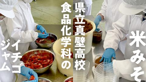 【 真壁高校 食品化学科が製造 】 米みそ (900g×2袋) & イチゴジャム (200g×2個)  地元産 桜川市 米 味噌 大豆 麹 果肉 苺 いちご イチゴ ジャム [DM001sa]