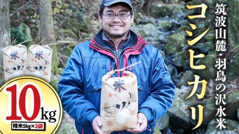 令和7年産 筑波山麓・羽鳥の沢水米 コシヒカリ 10kg 米 お米 コメ 精米 白米 桜川市 茨城県 [BN001sa]