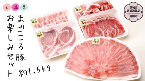 大満足!まごころ豚 お楽しみ セット 約1.5kg(茨城県共通返礼品 鉾田市) ブランド豚 銘柄豚 豚肉 モモしゃぶしゃぶ 肩ロース バラ ロース こま切れ 焼肉 仲田精肉店 [DB001sa]