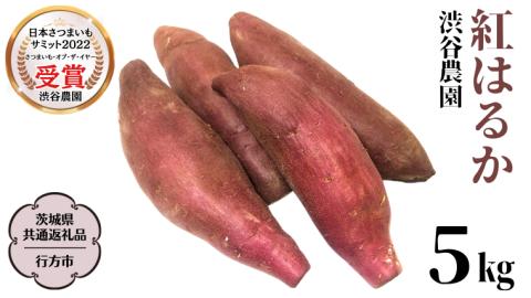 2025年度産 紅はるか 約5kg [茨城県共通返礼品/行方市]渋谷農園 さつまいも いも 芋 焼芋 [DT001sa]