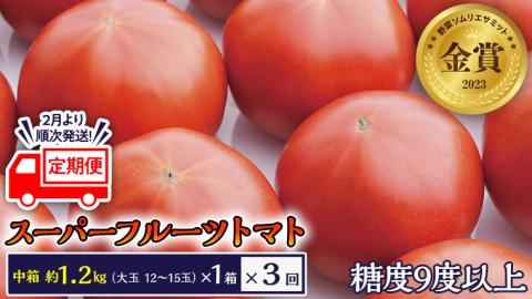[2024年2月上旬発送開始][定期便]スーパーフルーツトマト 中箱 約1.2kg×1箱×3回 お届け! 糖度9度以上 フルーツトマト トマト とまと 野菜 茨城県産 [BC049sa]