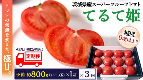 [先行予約] [ 定期便 ] スーパーフルーツトマト てるて姫 小箱 約800g×3回お届け! 糖度9度以上 (2024年2月より発送開始) トマト とまと 野菜 茨城県産 [BC052sa]