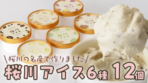 [生産者支援]桜川アイス 6種 12個 セット 数量限定 食べ比べ 90ml×6種類 桜川市のこだわり素材を使用 アイス あいす デザート スイーツ 産地限定 おやつ カップ [SC041sa]