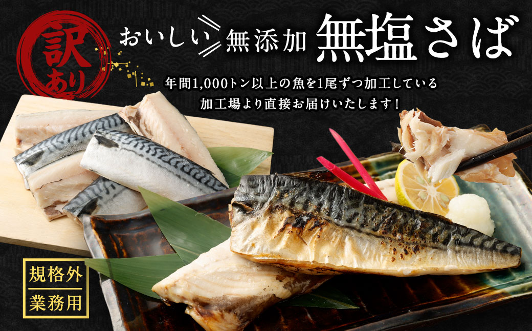 【訳あり規格外】 業務用 無添加 無塩さば 1.9kg 鯖 さば サバ 魚 お魚 さかな 魚介 魚介類