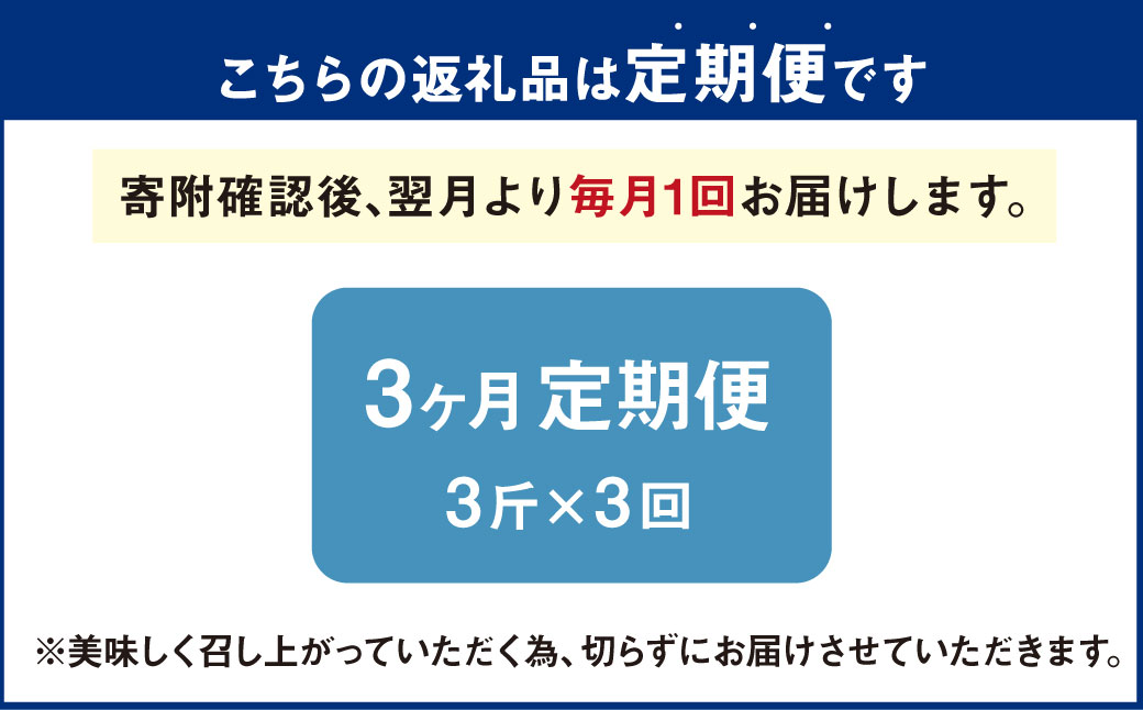 AU-14 3ヵ月定期便　高級食パン 3斤×3回 食パン パン