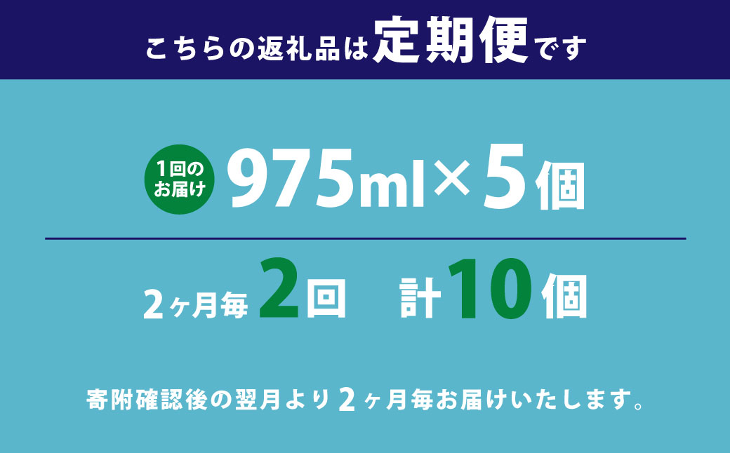 【2ヶ月毎2回定期便】 マウスウォッシュ メイクアニューハビット クリアアイスミント 975ml×5個 セット 洗浄 洗口液 日用品
