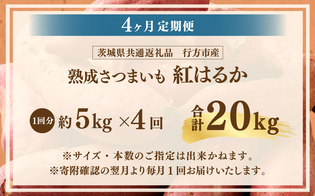 【4ヶ月定期便】“熟成”茨城県産さつまいも【紅はるか】約5kg (茨城県共通返礼品・行方市産）合計約20kg 芋 いも サツマイモ 野菜 やさい 国産