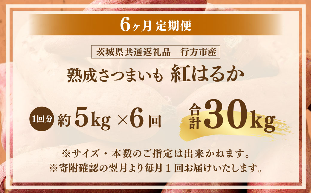 【6ヶ月定期便】“熟成”茨城県産さつまいも【紅はるか】約5kg (茨城県共通返礼品・行方市産）合計約30kg 芋 いも サツマイモ 野菜 やさい 国産