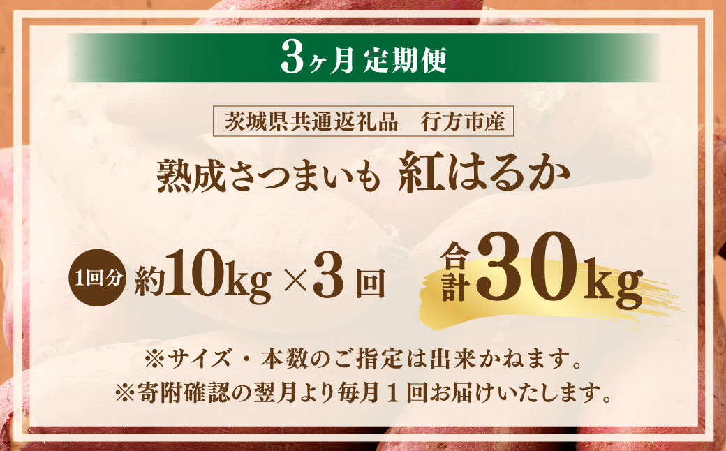 【3ヶ月定期便】“熟成”茨城県産さつまいも【紅はるか】約10kg (茨城県共通返礼品・行方市産）合計約30kg 芋 いも サツマイモ 野菜 やさい 国産