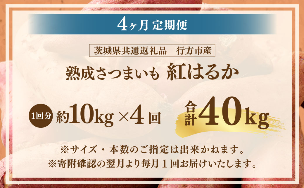 【4ヶ月定期便】“熟成”茨城県産さつまいも【紅はるか】約10kg (茨城県共通返礼品・行方市産）合計約40kg 芋 いも サツマイモ 野菜 やさい 国産