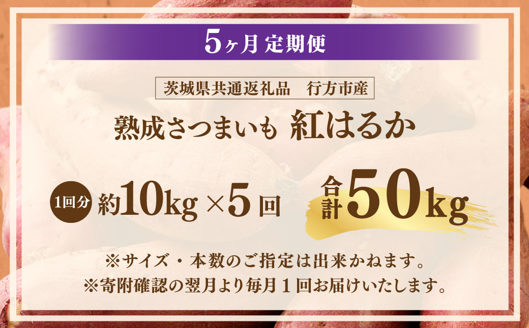 【5ヶ月定期便】“熟成”茨城県産さつまいも【紅はるか】約10kg (茨城県共通返礼品・行方市産）合計約50kg 芋 いも サツマイモ 野菜 やさい 国産