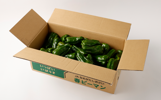 AY-2 丸ごと食べられる！波崎ジャンボピーマン　4kg（約70個入り） 野菜 やさい ピーマン おかず 炒め物 丸焼き 国産