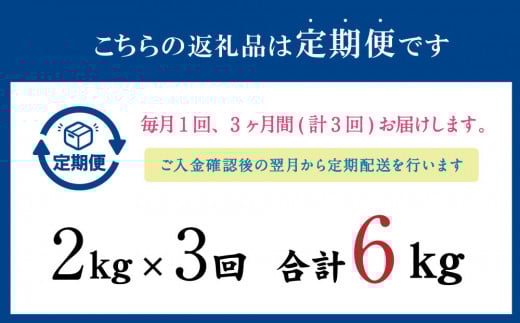 【3ヶ月定期便】 いわし フィーレ 加熱用 合計約6kg 約2kg×3回 鰯 イワシ