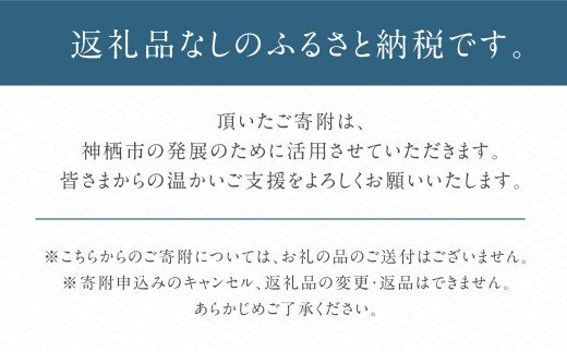 【500,000円】神栖市への寄附 (返礼品はありません)