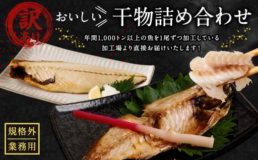 訳あり規格外 業務用 干物詰め合わせ 2.2kg