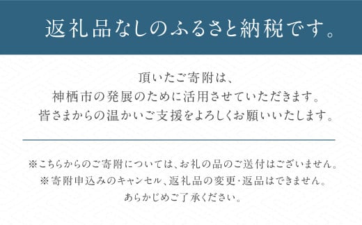 【1,000,000円】神栖市への寄附 (返礼品はありません)