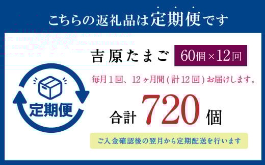 【12ヶ月定期便】濃厚プレミアム！！吉原たまご2箱 30個入り×2箱 計60個（54個＋割れ保証6個） 卵 たまご