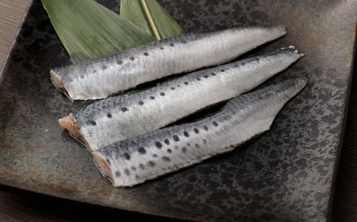 いわし フィーレ 加熱用 1kg 小分け まいわし 鰯 イワシ ムニエル フライ ソテー 蒲焼 アレンジ 料理 お魚 さかな