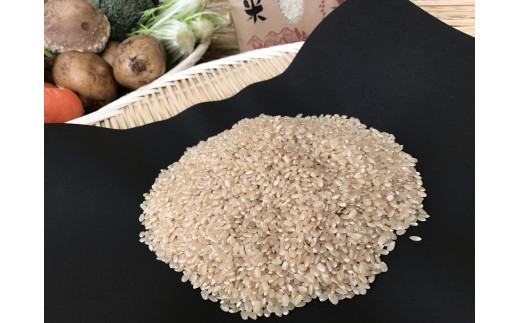 【栽培期間農薬不使用】玄米2kgと季節の野菜（4～5品）のセット 野菜 米 詰合せ 【2025年9月より順次発送開始】