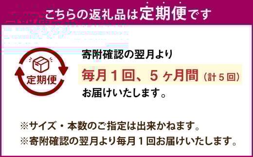 【5ヶ月定期便】【訳あり】“熟成”茨城県産さつまいも【紅はるか】約5kg(茨城県共通返礼品・行方市産）合計約25kg 芋 いも サツマイモ 野菜 やさい 国産