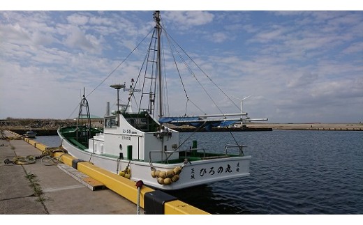 【釣り船乗船券】ひろの丸（1名様分） 乗船体験 体験 チケット