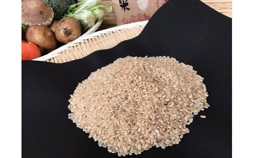 【3ヶ月定期便】自然栽培野菜10～12品目（3・4月は玄米5kg）野菜 米 玄米 詰合せ