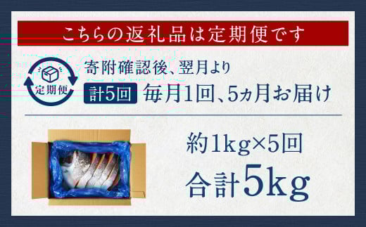 【5カ月定期便】【訳あり】 厚切り 銀鮭切身 約1kg×5回 合計約5kg 銀鮭 鮭 サケ 切り身 魚 魚介 しゃけ