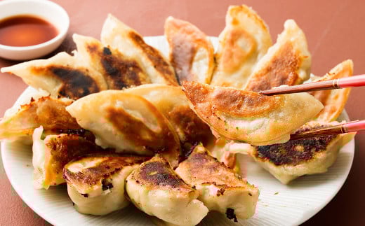 特大なないろ 餃子 10個 × 4パック 合計 40個 ぎょうざ ギョウザ 冷凍