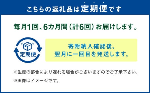 【6ヶ月定期便】越田の干物　さば(1枚入)×8パック 干物 鯖 さば