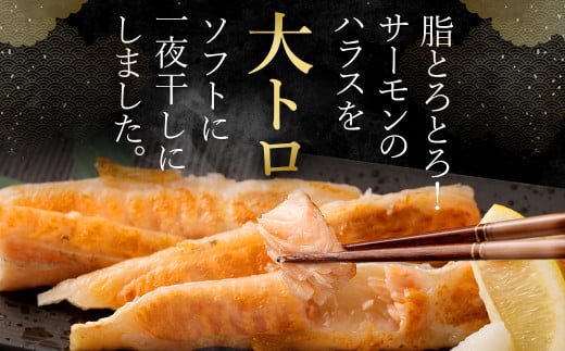 【3ヶ月定期便】アトランティックサーモン 大トロサーモンハラス干し 約2kg×3回 合計6kg サーモン ハラス 魚 さかな 一夜干し おかず