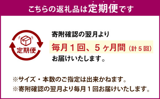 【5ヶ月定期便】【訳あり】“熟成”茨城県産さつまいも【紅はるか】約10kg(茨城県共通返礼品・行方市産）合計約50kg 芋 いも サツマイモ 野菜 やさい 国産