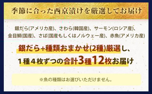 【訳あり】西京漬け おまかせ3種12枚セット ／ 約600g 西京味噌 銀だら 鱈 たら タラ さわら サーモン 金目鯛 鯖 赤魚 魚 海鮮 魚介 漬け魚 漬魚 焼き魚 切り身 切身 おかず おつまみ セット 茨城県 神栖市 冷凍