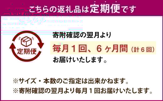 【6ヶ月定期便】【訳あり】“熟成”茨城県産さつまいも【紅はるか】約10kg(茨城県共通返礼品・行方市産）合計約60kg 芋 いも サツマイモ 野菜 やさい 国産
