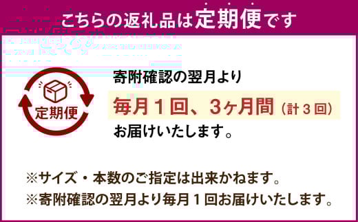 【3ヶ月定期便】【訳あり】“熟成”茨城県産さつまいも【紅はるか】約10kg(茨城県共通返礼品・行方市産）合計約30kg 芋 いも サツマイモ 野菜 やさい 国産