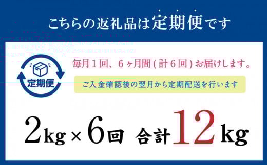 【6ヶ月定期便】 いわし フィーレ 加熱用 合計約12kg 約2kg×6回 鰯 イワシ