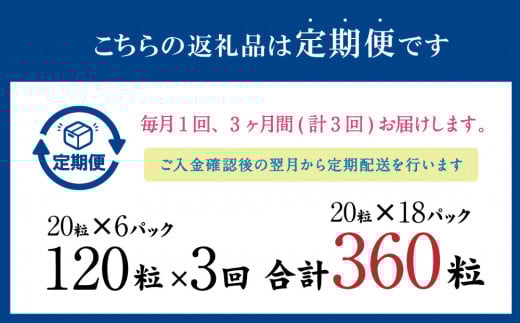 【3ヶ月定期便】あらびき いわし つみれ 合計5.4kg (15g×20粒×6パック)×3回 鰯 イワシ