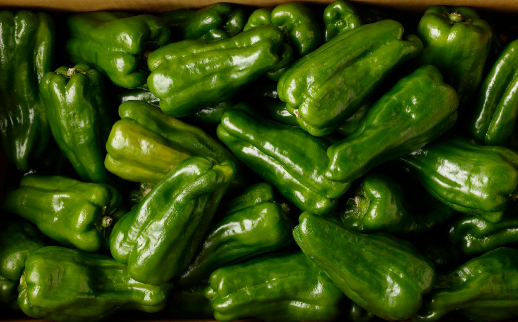 AY-2 丸ごと食べられる！波崎ジャンボピーマン　4kg（約70個入り） 野菜 やさい ピーマン おかず 炒め物 丸焼き 国産