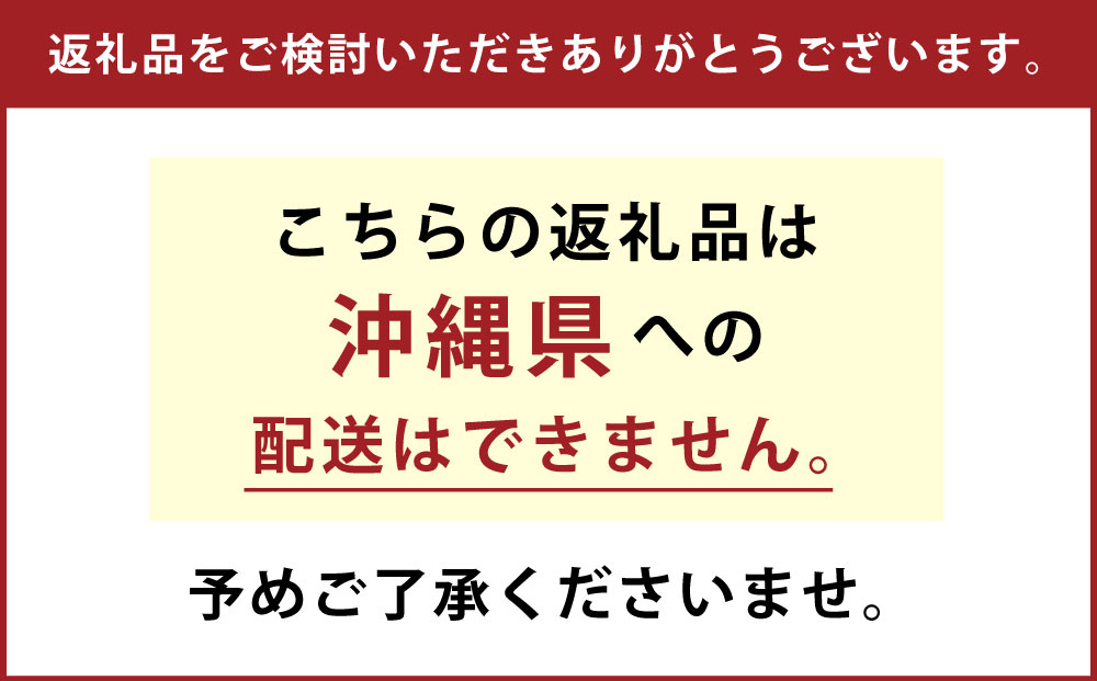 【2ヶ月毎2回定期便】 マウスウォッシュ メイクアニューハビット クリアアイスミント 975ml×5個 セット 洗浄 洗口液 日用品