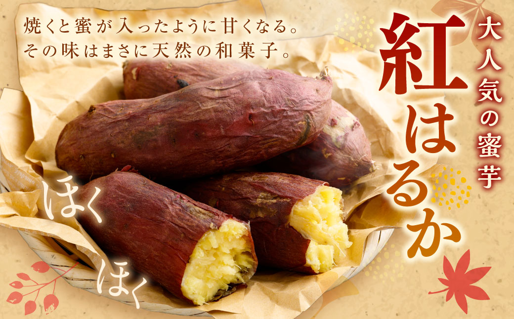 “熟成” 茨城県産 さつまいも 【 紅はるか 】 約10kg （茨城県共通返礼品・行方市産） 芋 いも サツマイモ 野菜 やさい 国産