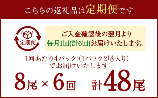 【6ヶ月定期便】サンマ開き2尾入り 4パックセット ×6回 合計48枚