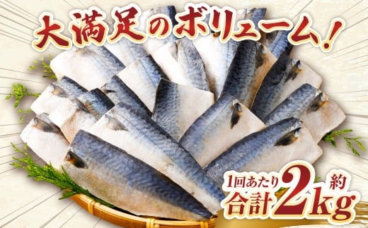 【5ヶ月定期便】【訳あり】国産 ふっくら 極み塩サバ 計約2kg ／ 1切れ 塩サバ 塩さば 塩鯖 さば サバ 鯖 魚