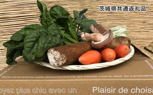 【茨城県共通返礼品】【12ヵ月定期便】栽培期間中農薬不使用 季節の野菜ハーフセット(6～7品)