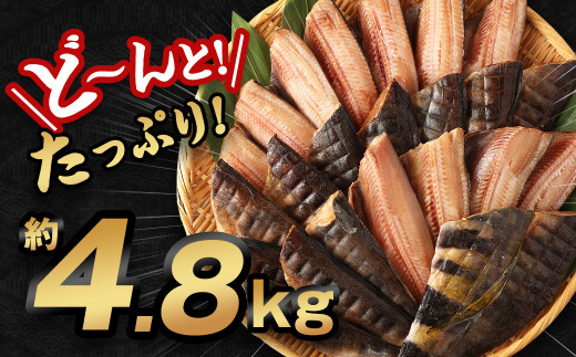 【訳あり規格外】 業務用 ほっけ干物 どーんと! 4.8kg 干物 ホッケ 縞ほっけ ほっけ