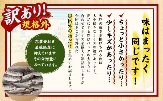 【訳あり規格外】 業務用 あじ 干物 どーんと！ 1.5kg アジ 鯵 魚