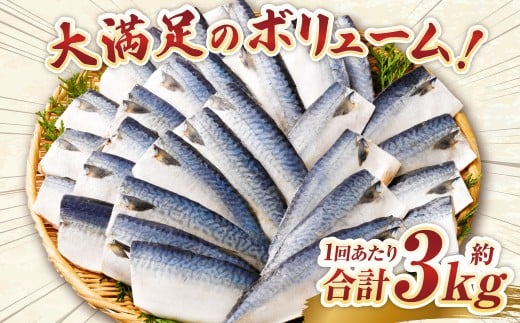 【6ヶ月定期便】【訳あり】国産 ふっくら 極み塩サバ 計約3kg ／ 1切れ 塩サバ 塩さば 塩鯖 さば サバ 鯖 魚