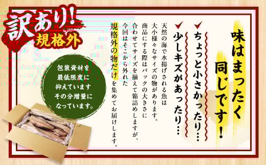 【2ヶ月定期便】【訳あり規格外】 業務用 ほっけ干物 1.9kg