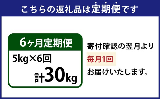 【6ヶ月定期便】 【令和7年産】 茨城県産 こしひかり 精米 5kg （茨城県共通返礼品・常陸太田市産） 5kg×6ヶ月 （計30kg） コシヒカリ 精米 米 お米 こめ おこめ コメ 白米 ご飯 ごはん ギフト 贈り物 おすすめ 定期便 国産