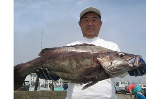 【釣り船乗船券】第三東洋丸（1名様分） 乗船体験 体験 チケット