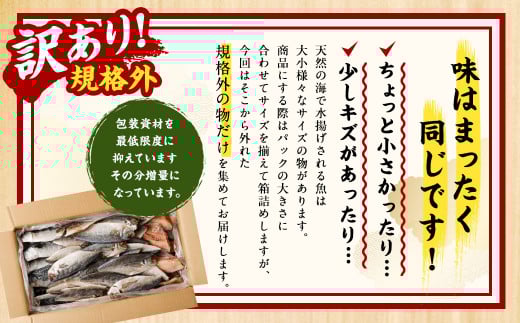 訳あり規格外 業務用 干物詰め合わせ 2.2kg